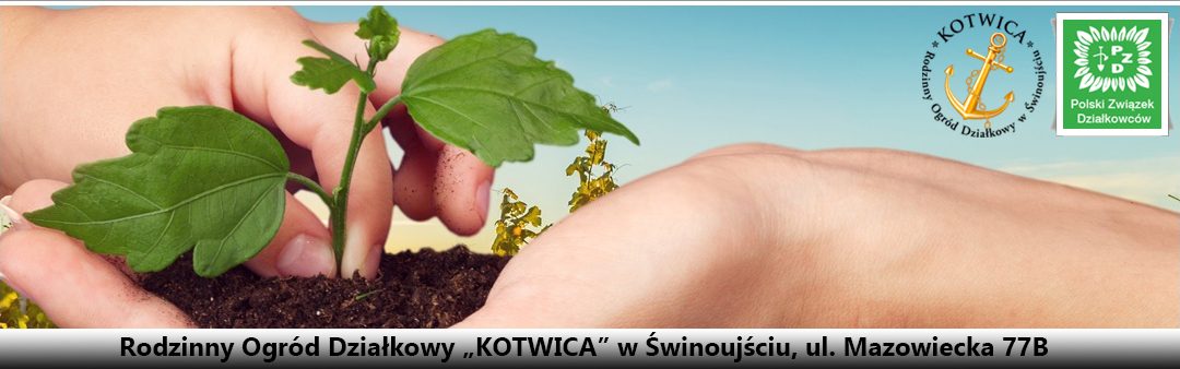 ROD "KOTWICA"